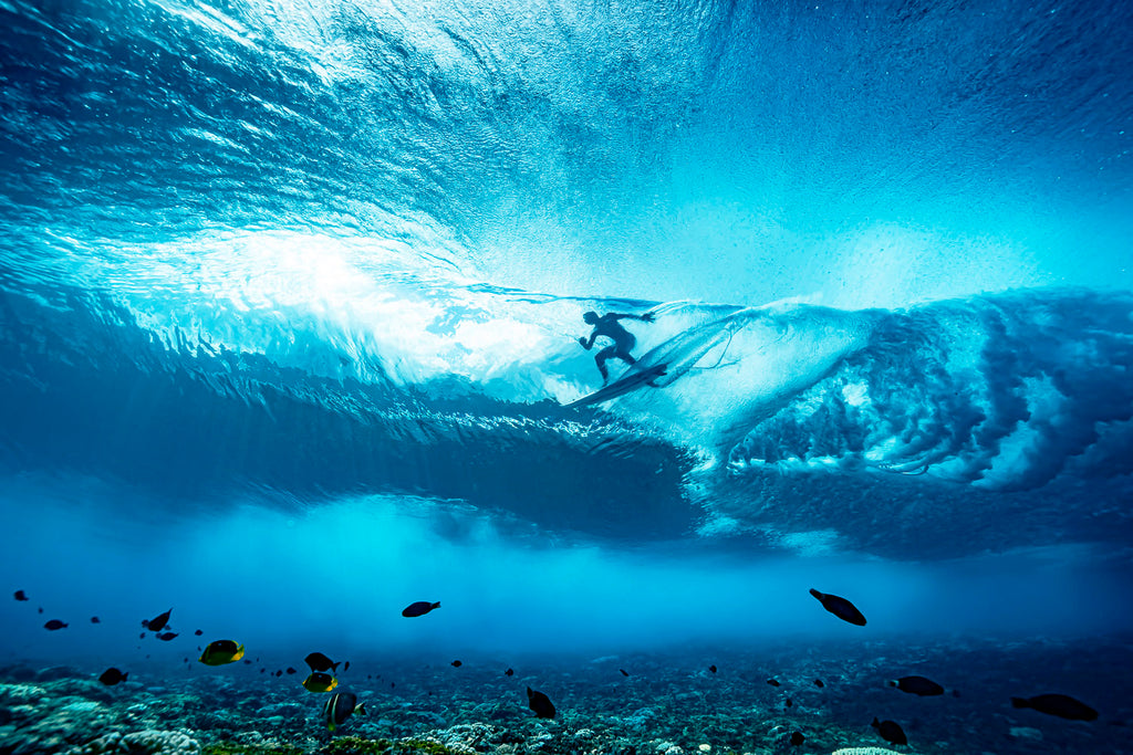 Man surfing shot from underwater with fish and coral