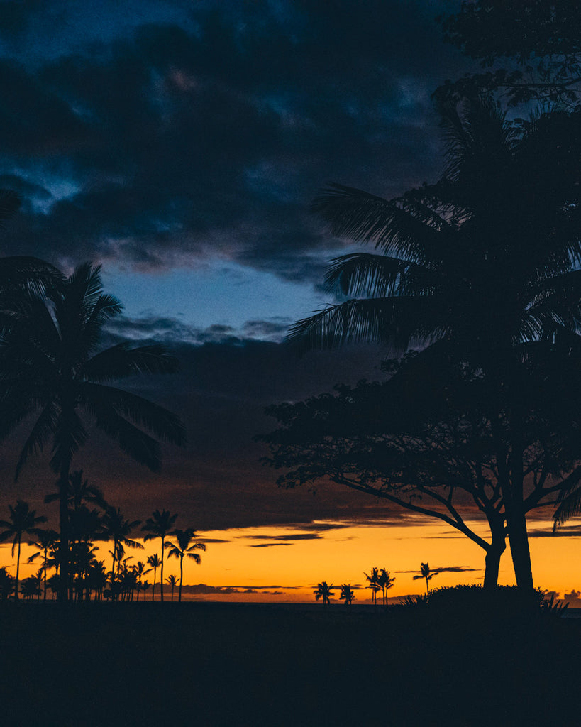 Orange Blue and Pink sunset in Kona with shapes of Palm Trees