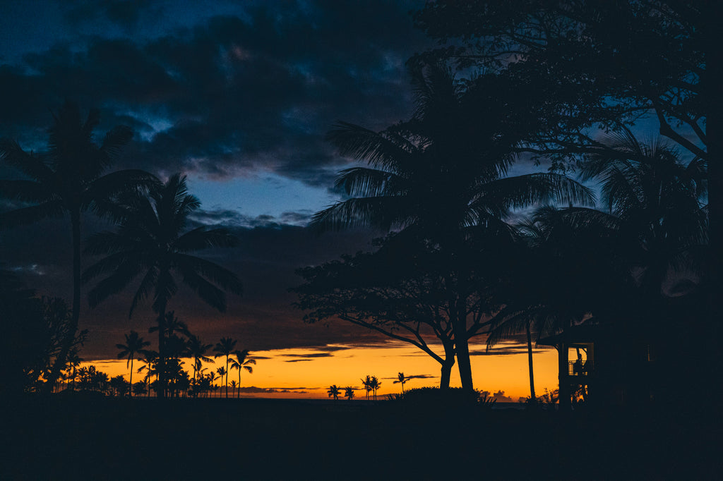 Orange Blue and Pink sunset in Kona with shapes of Palm Trees