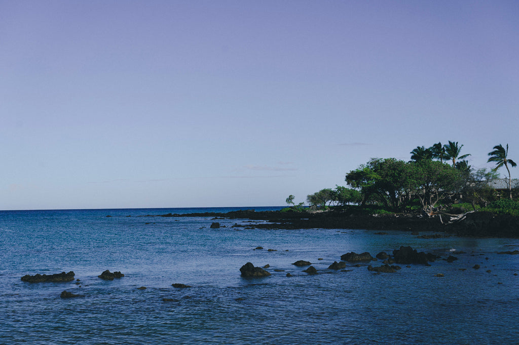 Landscape of the Pacific Ocean coast, clear blue sky and palm trees off to the right on Hawaii Island